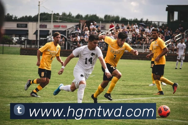 问鼎娱乐全站App